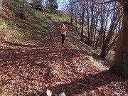 CORNAGERA e POIETO ad anello da Aviatico (10nov24) - FOTOGALLERY